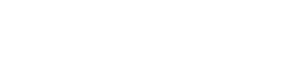 Flash Auto Logistik